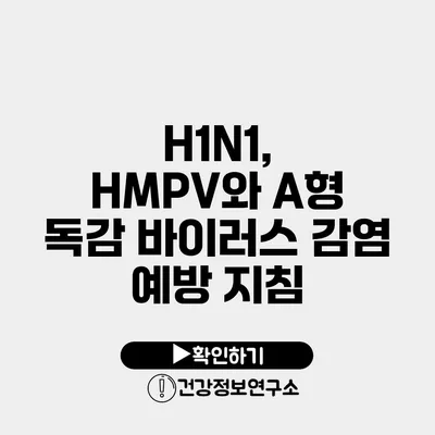 H1N1, HMPV와 A형 독감 바이러스 감염 예방 지침