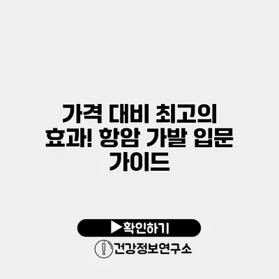 가격 대비 최고의 효과! 항암 가발 입문 가이드