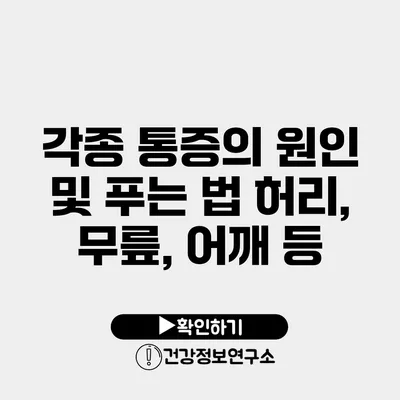 각종 통증의 원인 및 푸는 법 허리, 무릎, 어깨 등