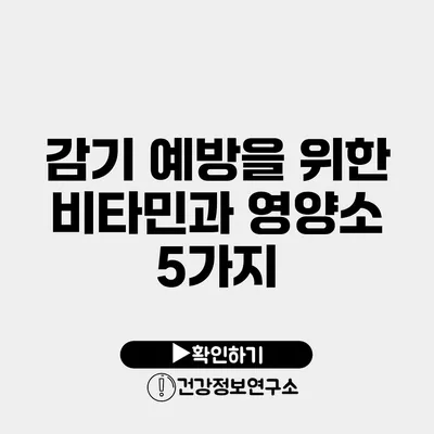 감기 예방을 위한 비타민과 영양소 5가지