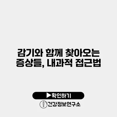 감기와 함께 찾아오는 증상들, 내과적 접근법