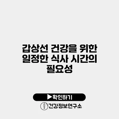 갑상선 건강을 위한 일정한 식사 시간의 필요성