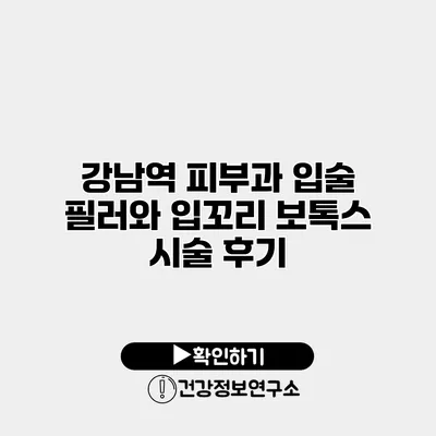 강남역 피부과 입술 필러와 입꼬리 보톡스 시술 후기