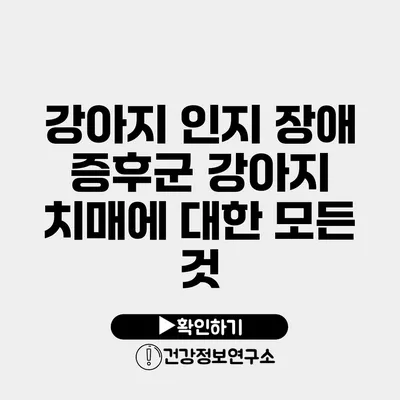 강아지 인지 장애 증후군 강아지 치매에 대한 모든 것