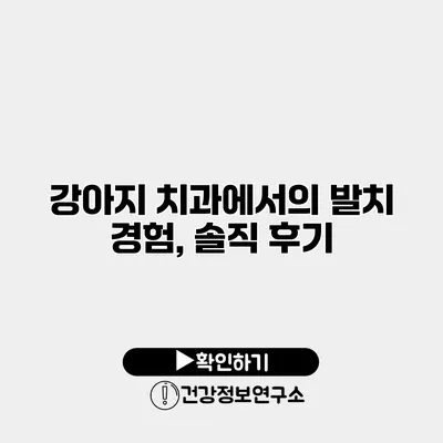 강아지 치과에서의 발치 경험, 솔직 후기