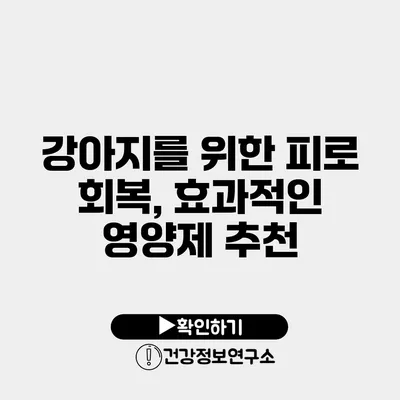 강아지를 위한 피로 회복, 효과적인 영양제 추천