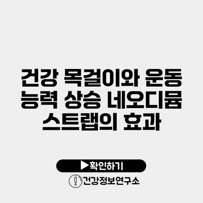 건강 목걸이와 운동 능력 상승 네오디뮴 스트랩의 효과