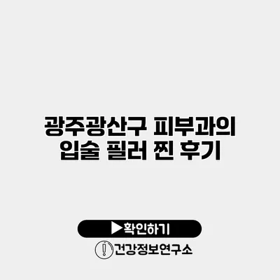 광주광산구 피부과의 입술 필러 찐 후기