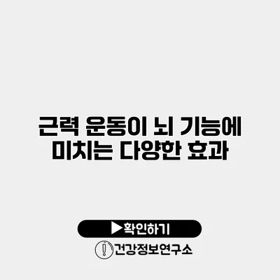 근력 운동이 뇌 기능에 미치는 다양한 효과