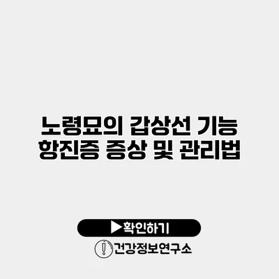 노령묘의 갑상선 기능 항진증 증상 및 관리법