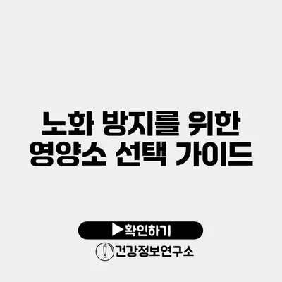 노화 방지를 위한 영양소 선택 가이드