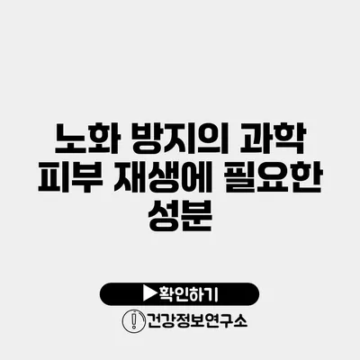 노화 방지의 과학 피부 재생에 필요한 성분