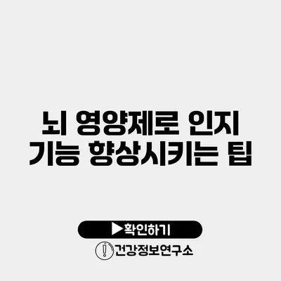 뇌 영양제로 인지 기능 향상시키는 팁