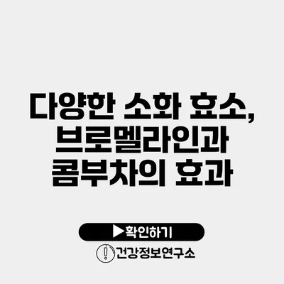 다양한 소화 효소, 브로멜라인과 콤부차의 효과