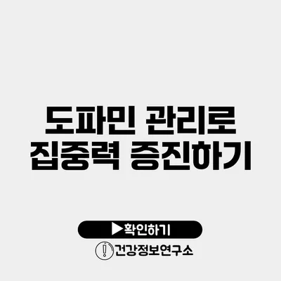 도파민 관리로 집중력 증진하기