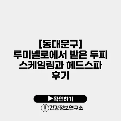 [동대문구] 루미넬로에서 받은 두피 스케일링과 헤드스파 후기