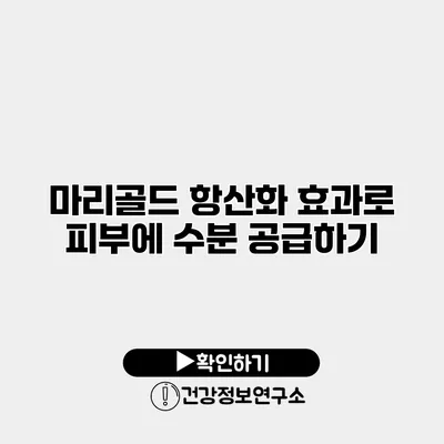 마리골드 항산화 효과로 피부에 수분 공급하기