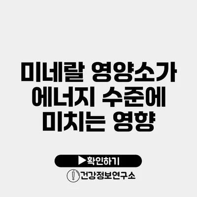 미네랄 영양소가 에너지 수준에 미치는 영향
