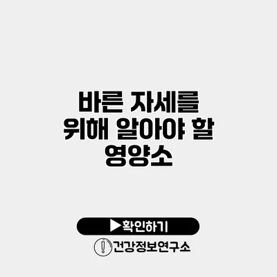 바른 자세를 위해 알아야 할 영양소