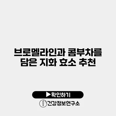 브로멜라인과 콤부차를 담은 지화 효소 추천