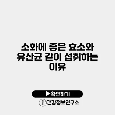 소화에 좋은 효소와 유산균 같이 섭취하는 이유
