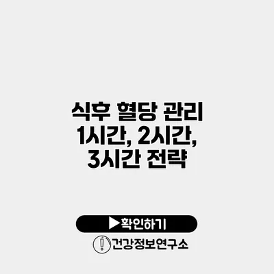 식후 혈당 관리 1시간, 2시간, 3시간 전략