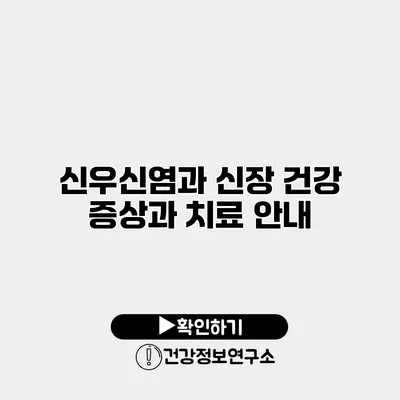 신우신염과 신장 건강 증상과 치료 안내