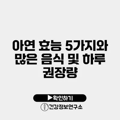 아연 효능 5가지와 많은 음식 및 하루 권장량