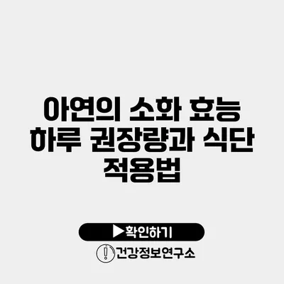 아연의 소화 효능 하루 권장량과 식단 적용법