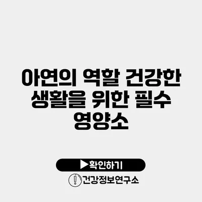 아연의 역할 건강한 생활을 위한 필수 영양소