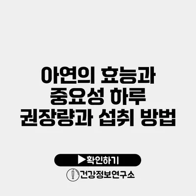 아연의 효능과 중요성 하루 권장량과 섭취 방법