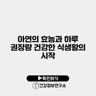 아연의 효능과 하루 권장량 건강한 식생활의 시작