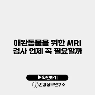 애완동물을 위한 MRI 검사 언제 꼭 필요할까?