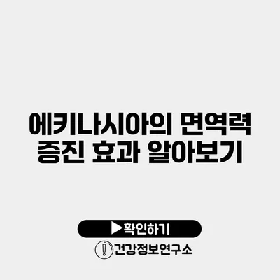 에키나시아의 면역력 증진 효과 알아보기