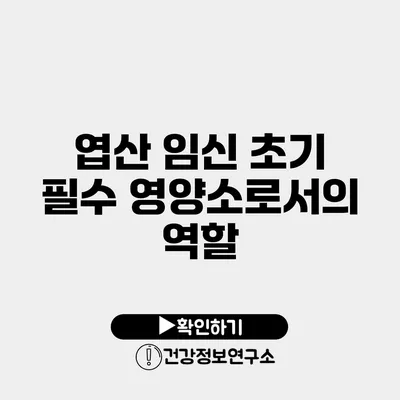 엽산 임신 초기 필수 영양소로서의 역할