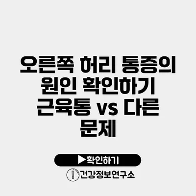 오른쪽 허리 통증의 원인 확인하기 근육통 vs 다른 문제