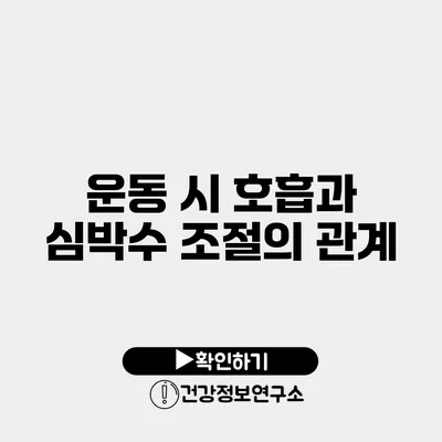 운동 시 호흡과 심박수 조절의 관계