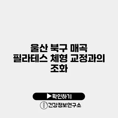 울산 북구 매곡 필라테스 체형 교정과의 조화