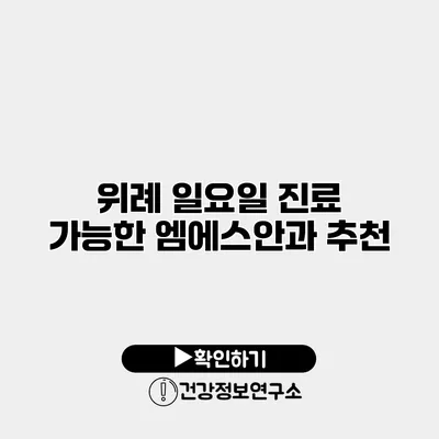 위례 일요일 진료 가능한 엠에스안과 추천