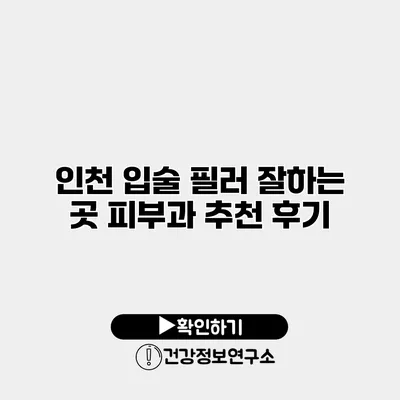 인천 입술 필러 잘하는 곳 피부과 추천 후기