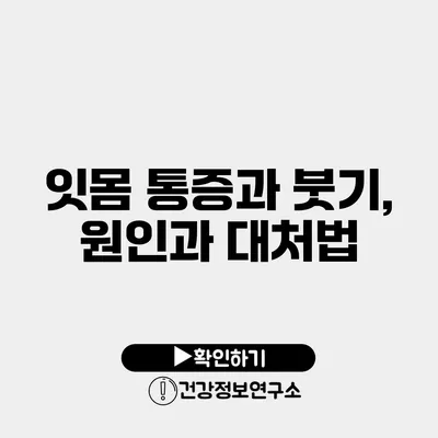 잇몸 통증과 붓기, 원인과 대처법