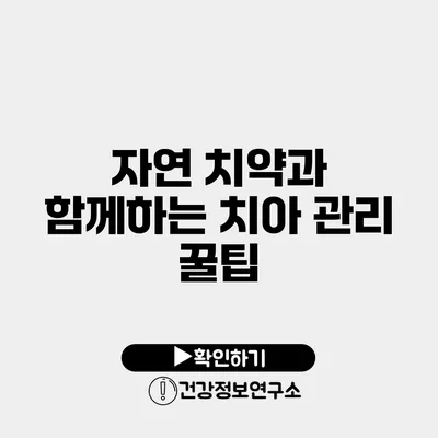 자연 치약과 함께하는 치아 관리 꿀팁