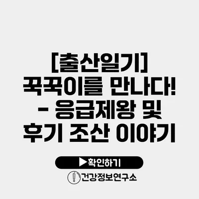 [출산일기] 꾹꾹이를 만나다! - 응급제왕 및 후기 조산 이야기