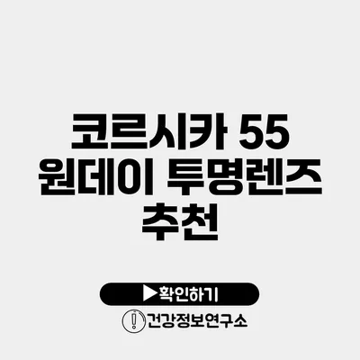 코르시카 55 원데이 투명렌즈 추천