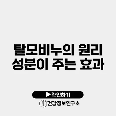 탈모비누의 원리 성분이 주는 효과