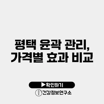 평택 윤곽 관리, 가격별 효과 비교