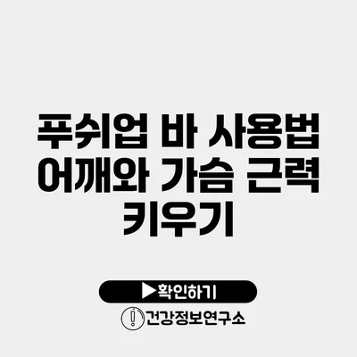 푸쉬업 바 사용법 어깨와 가슴 근력 키우기