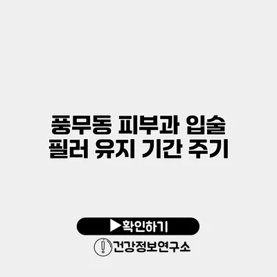 풍무동 피부과 입술 필러 유지 기간 주기