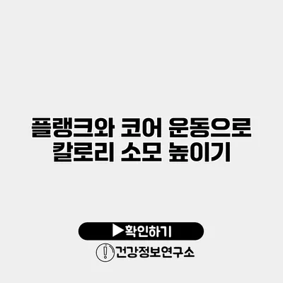 플랭크와 코어 운동으로 칼로리 소모 높이기