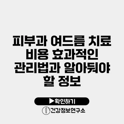 피부과 여드름 치료 비용 효과적인 관리법과 알아둬야 할 정보